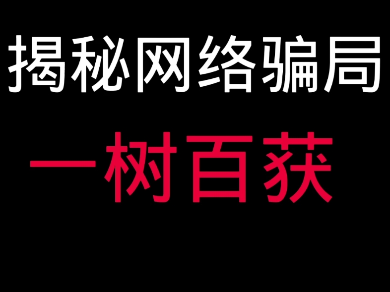 重发揭秘网络骗局一树百获哔哩哔哩bilibili