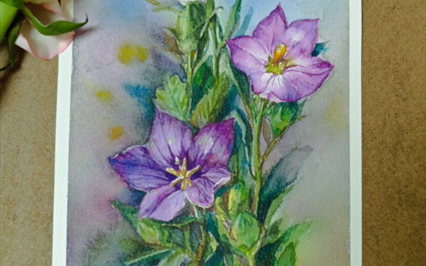 水彩紫色桔梗花:温柔梦幻的色彩之旅