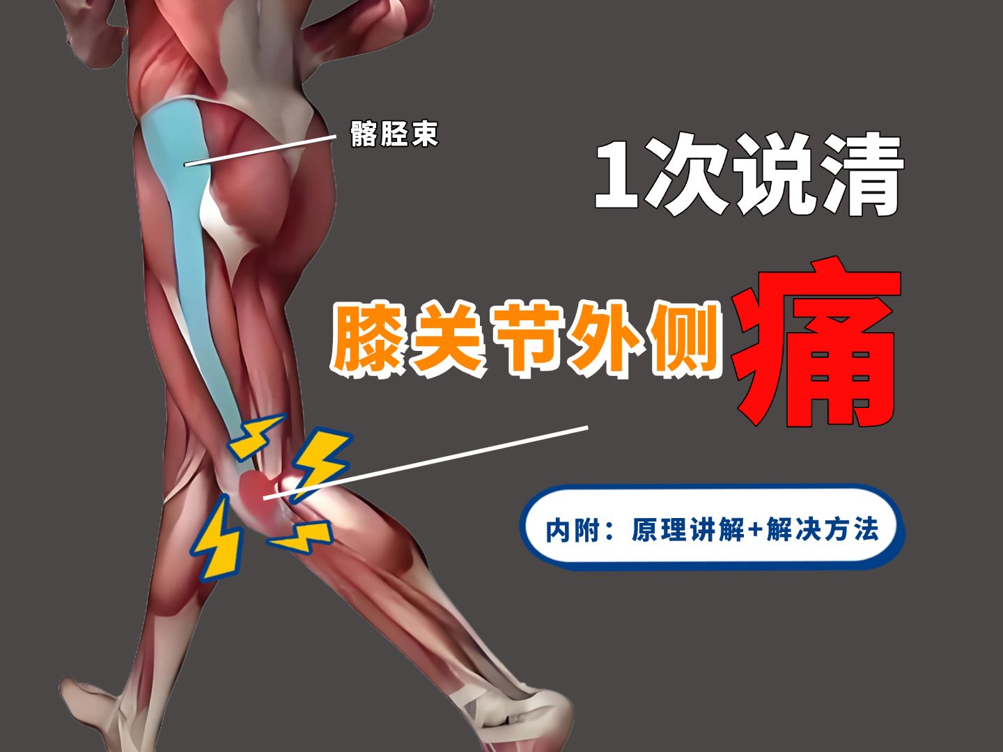 膝盖疼位置图图片