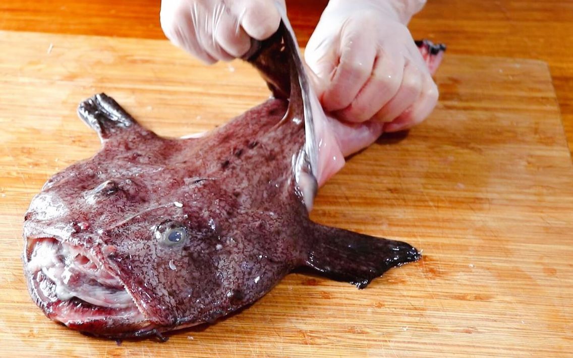 蛤蟆鱼怎么做好吃教你一鱼多种吃法鱼身焗着吃鱼肝配芥末吃