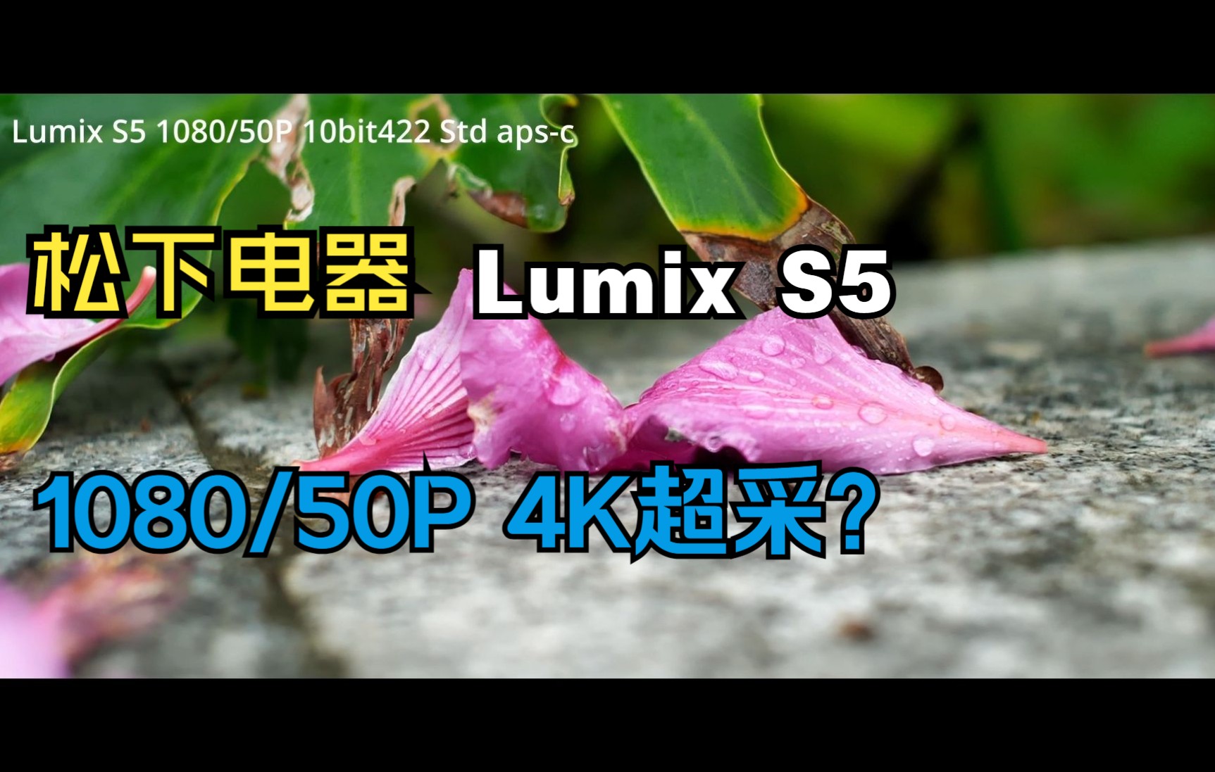 【松下电器】Lumix S5 1080/50P 10bit422 标准模式——雨后漫步哔哩哔哩bilibili