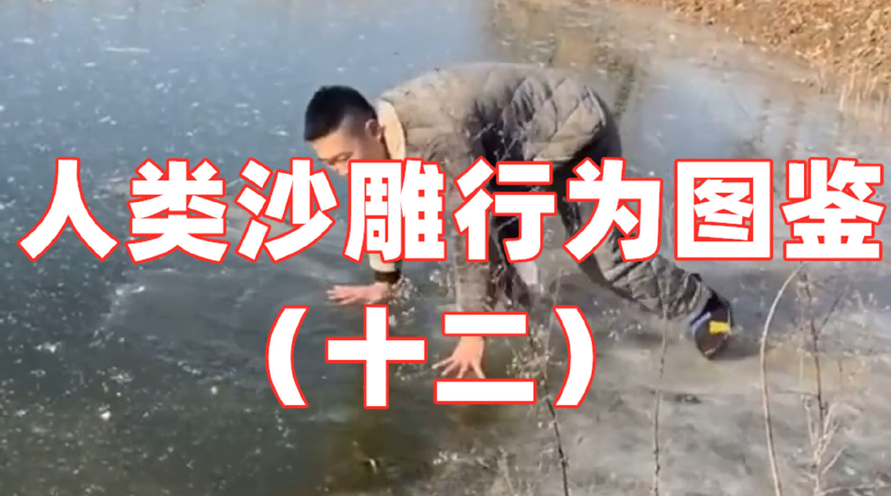 人类沙雕行为图鉴(十二)