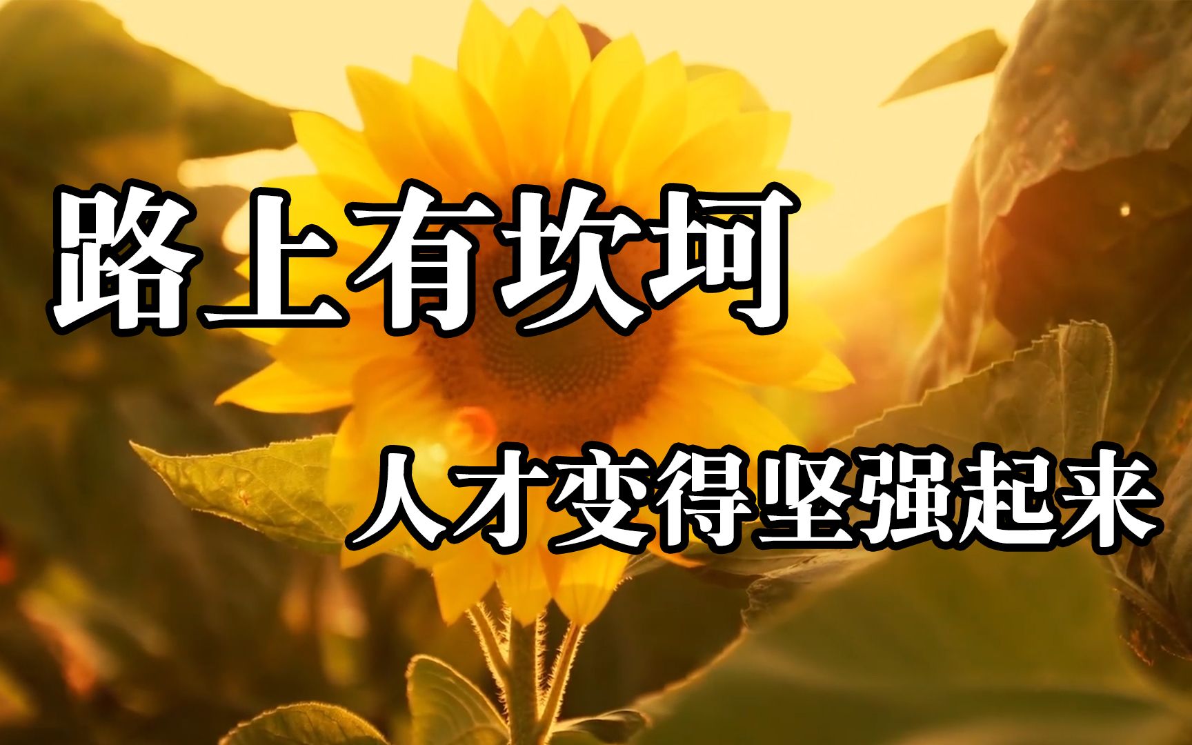 人生感悟!路上有坎坷,人才变得坚强起来!