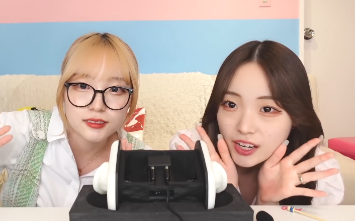 【小鹿酱 人声哄睡】喜欢姐姐们的掏耳_哔哩哔哩_bilibili