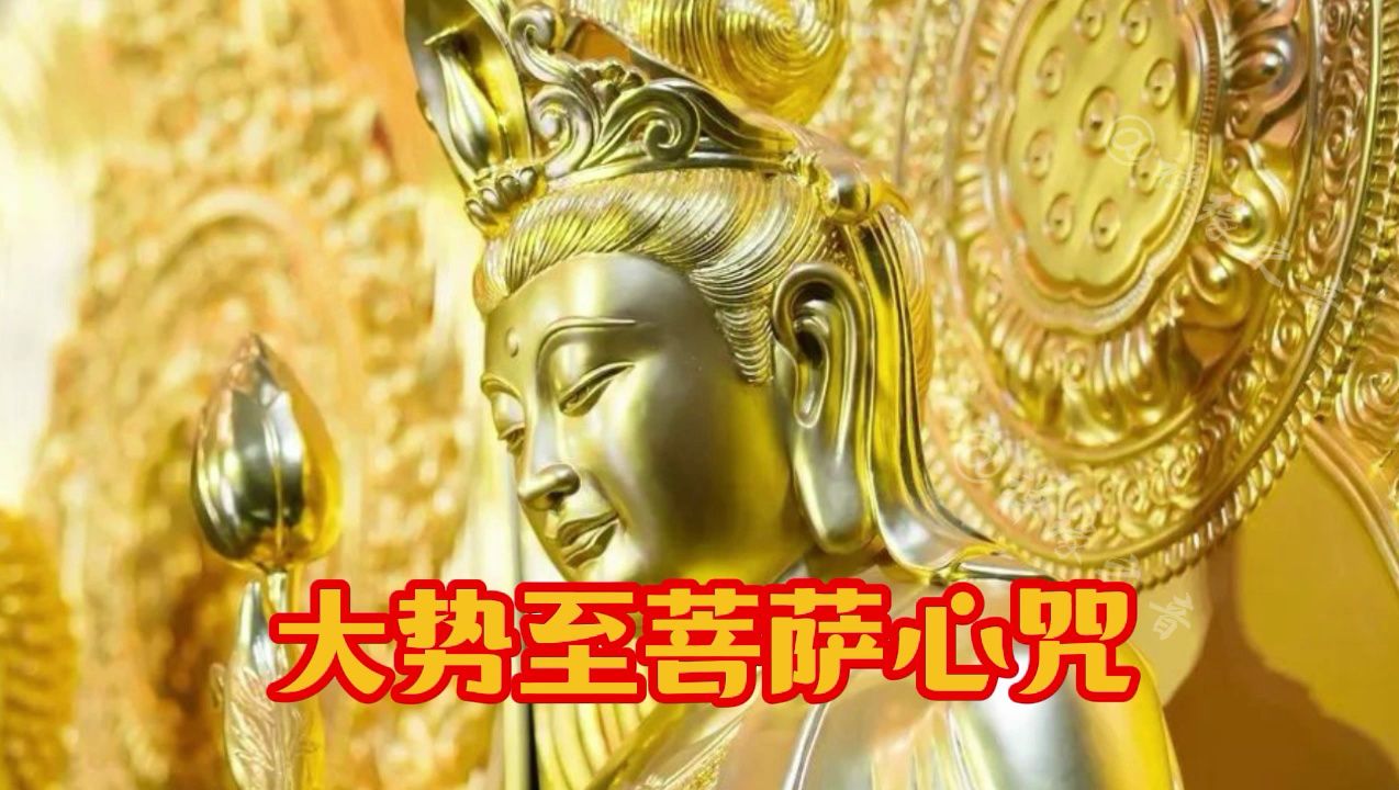 《大势至菩萨心咒》有字幕,不仅仅是好听|愿你平安健康哔哩哔哩bilibili