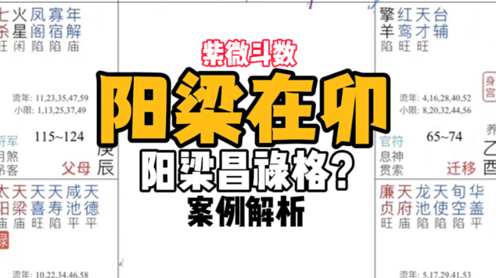 【紫微斗数实批看盘】阳梁在卯,阳梁昌禄格?哔哩哔哩bilibili