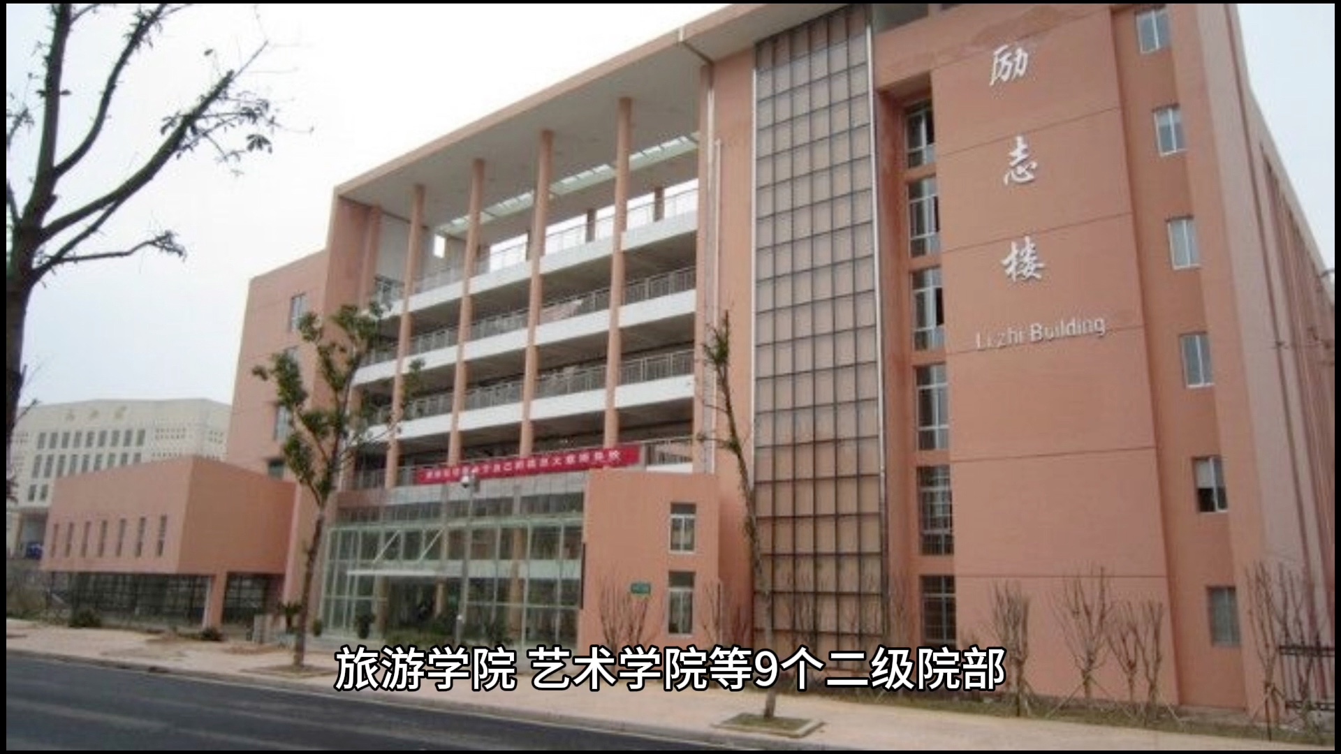 湖南外贸职业学院2024单招录取分数线