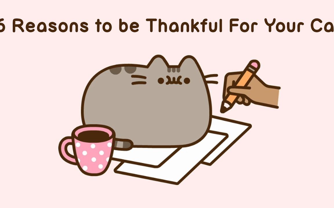 pusheenthecat感谢你的猫的6个理由