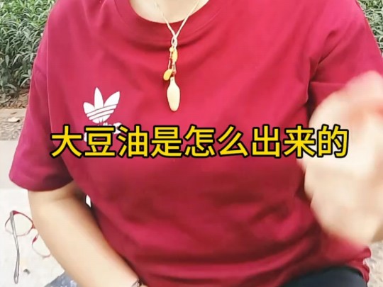 大豆油是怎么出来的哔哩哔哩bilibili