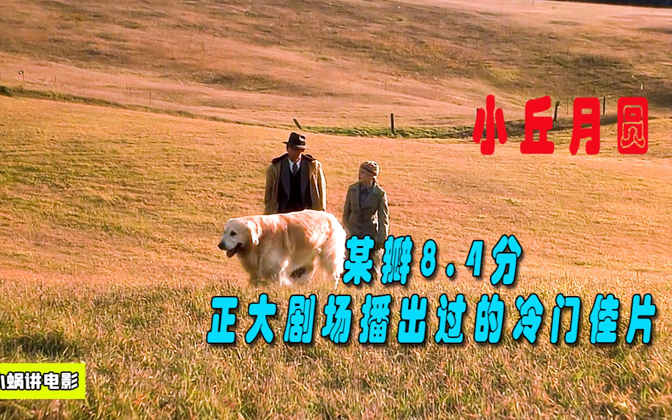 某瓣8.4分,正大剧场播出过的冷门佳片,勇敢女孩儿化身月老