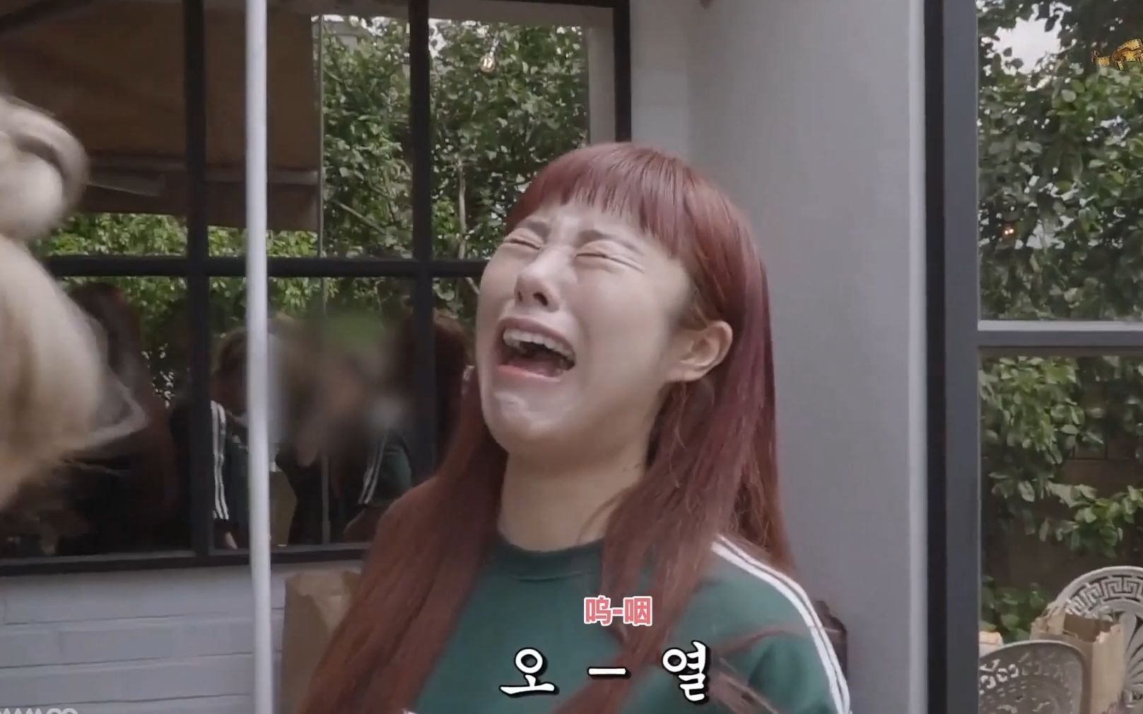 mamamoo丁辉人简直是我每天的快乐源泉进来品沙雕品种的可爱鬼