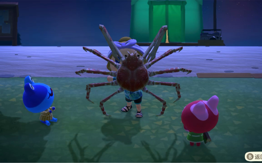 给小动物们炫耀刚抓的高脚蟹