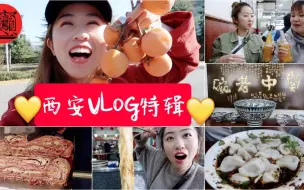 Descargar video: 【VLOG特辑.垤美西安】洒金桥老巷小吃| BiángBiáng面| 马二酸汤水饺| 胡辣汤| 只开半天的巷子深面!| 一起坐蹦蹦