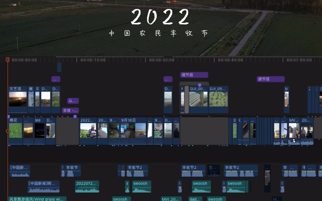 中国农民丰收节短片 《丰收有你》 文案+拍摄+剪辑哔哩哔哩bilibili