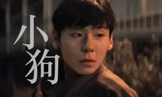 Download Video: 【傅卫军】“不许抛弃小狗”