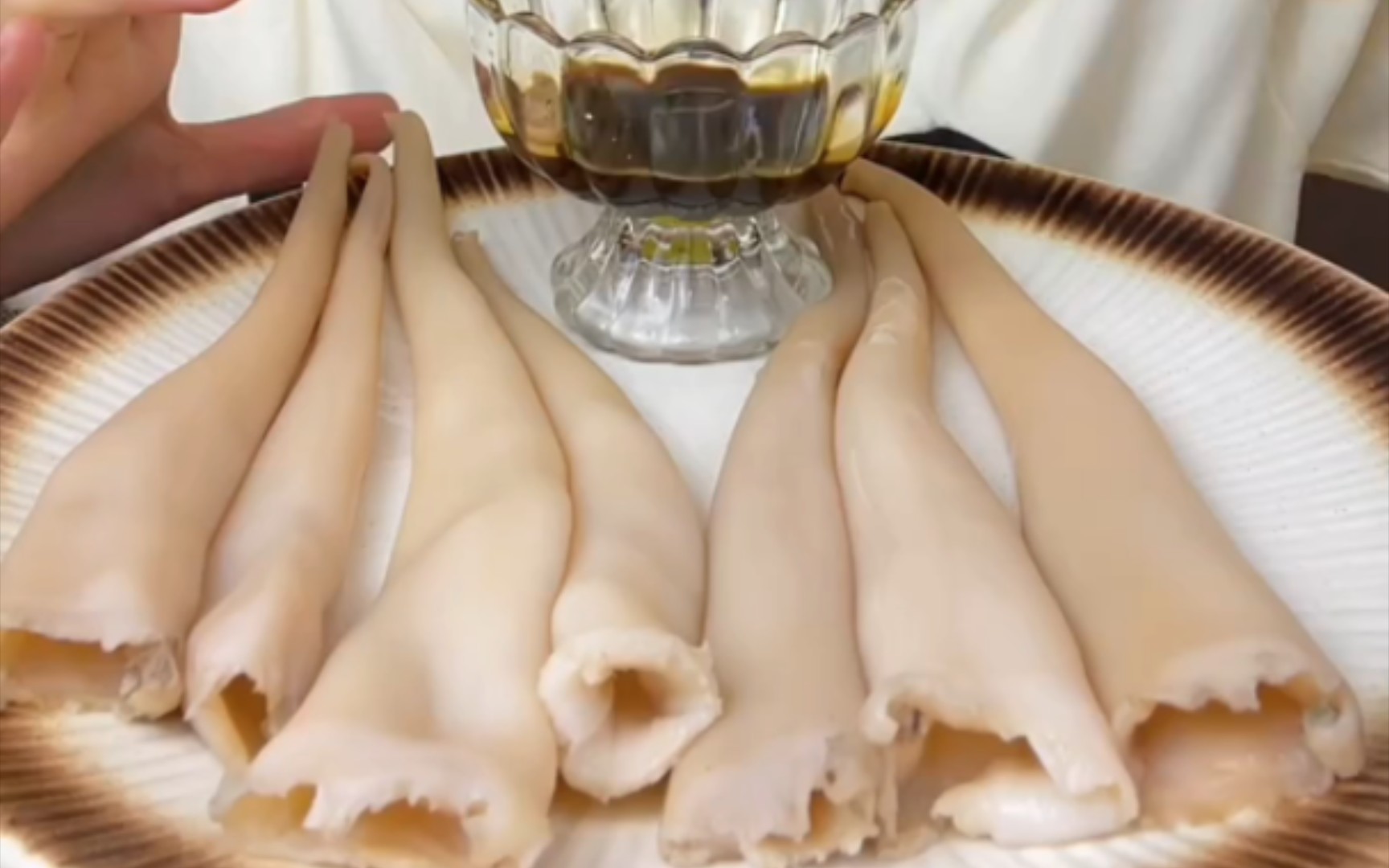 【海松贝】嘎嘣脆的海松贝来了