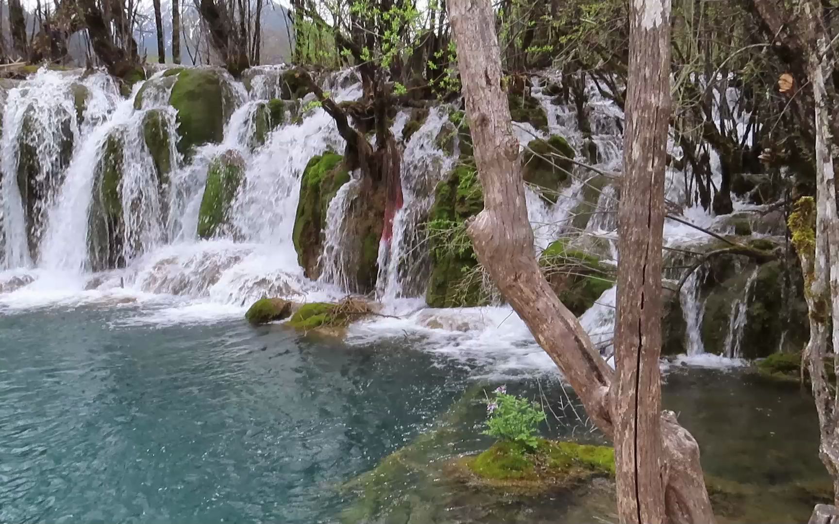 [图]西藏游——05九寨沟