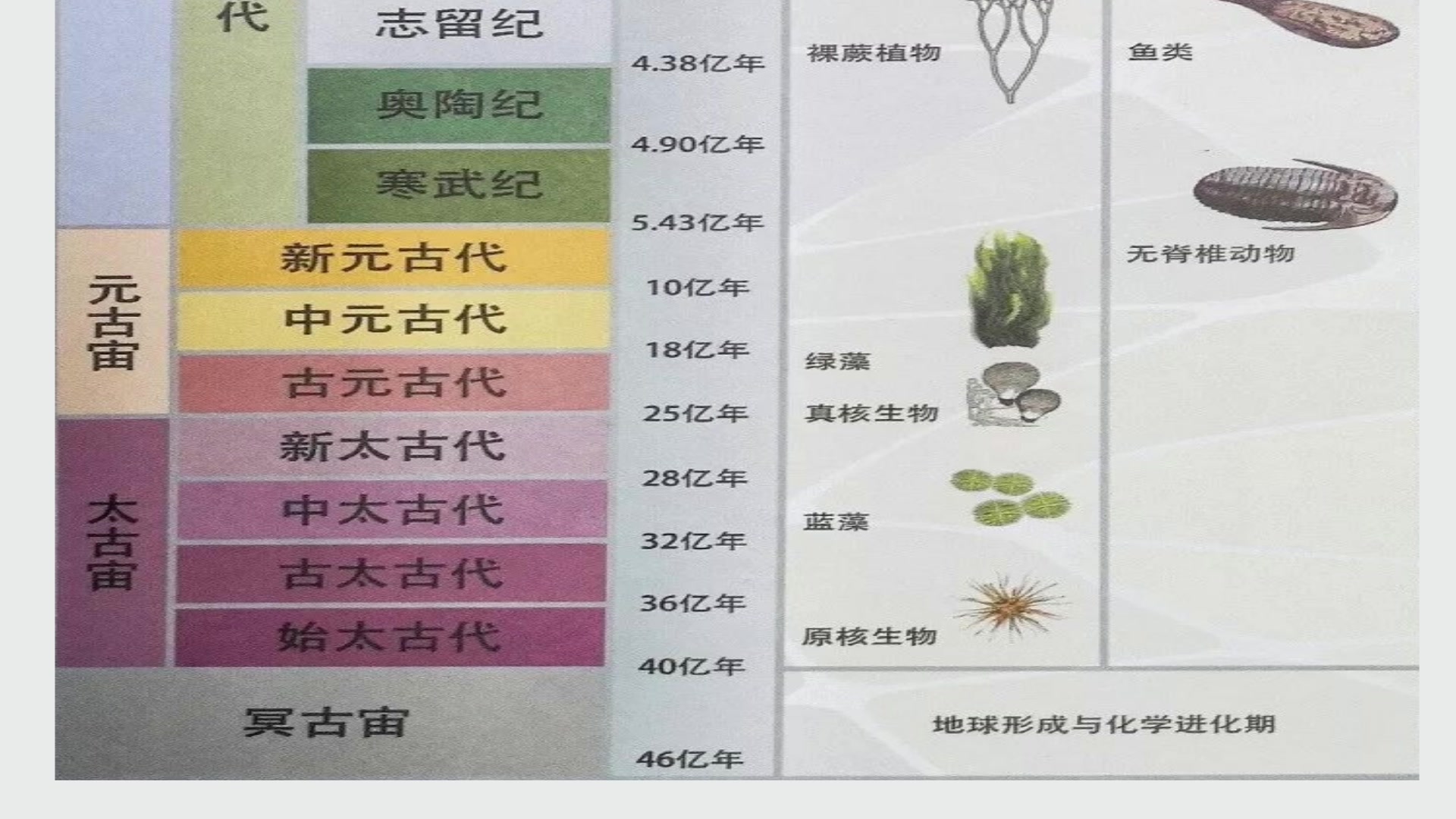 地质时代~宇宙46亿年历史哔哩哔哩bilibili