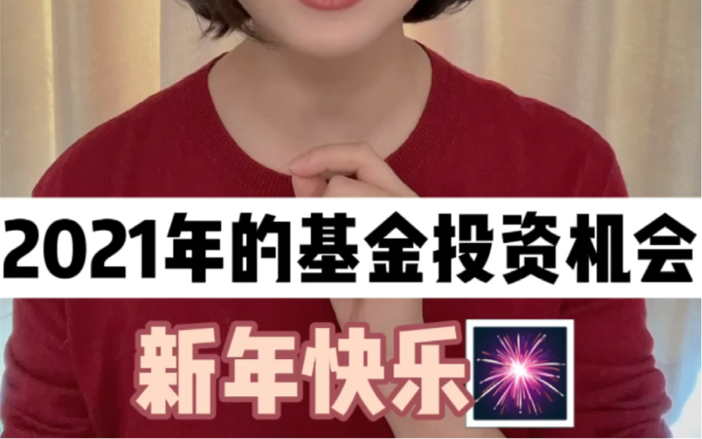 2021年的基金投资机会!哔哩哔哩bilibili