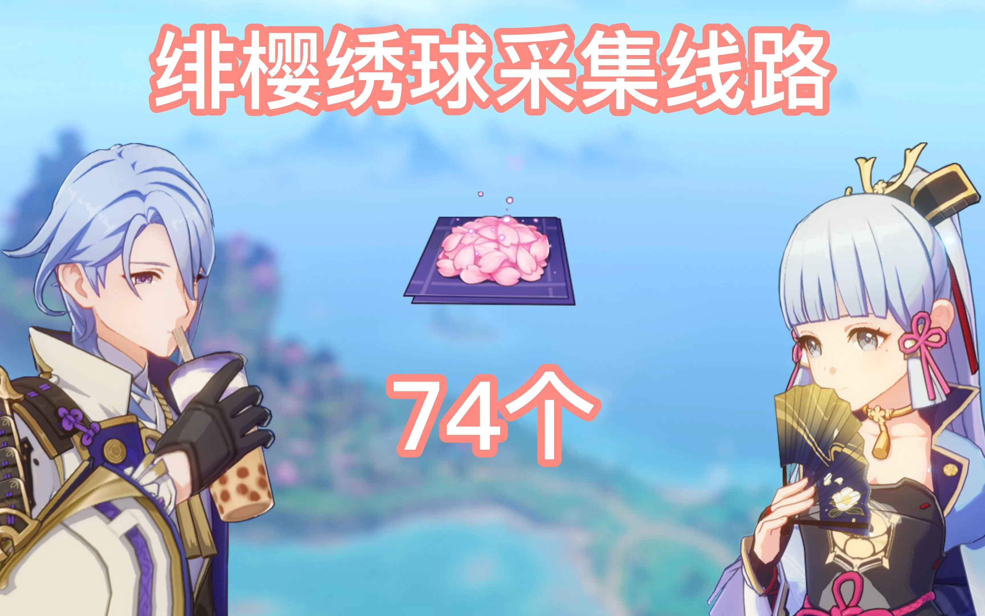 绯樱绣球采集线路