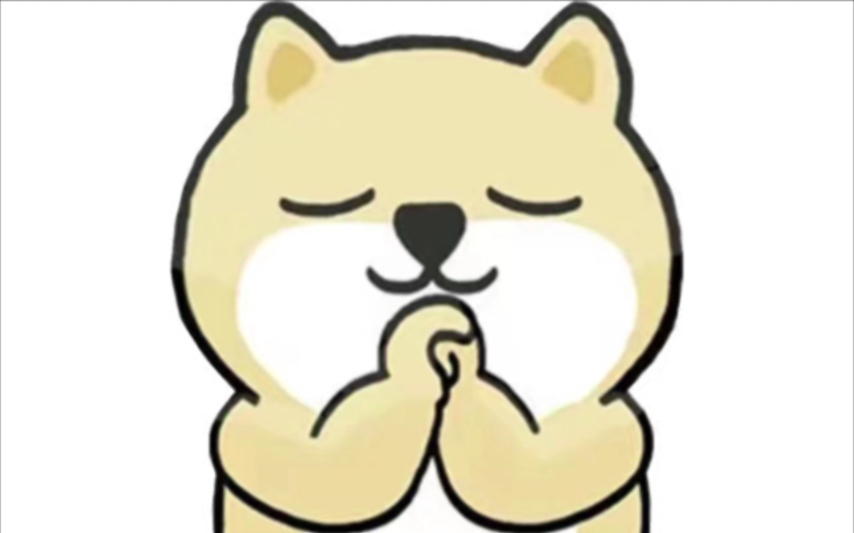 小肥柴mv第十三弹《祝你平安》