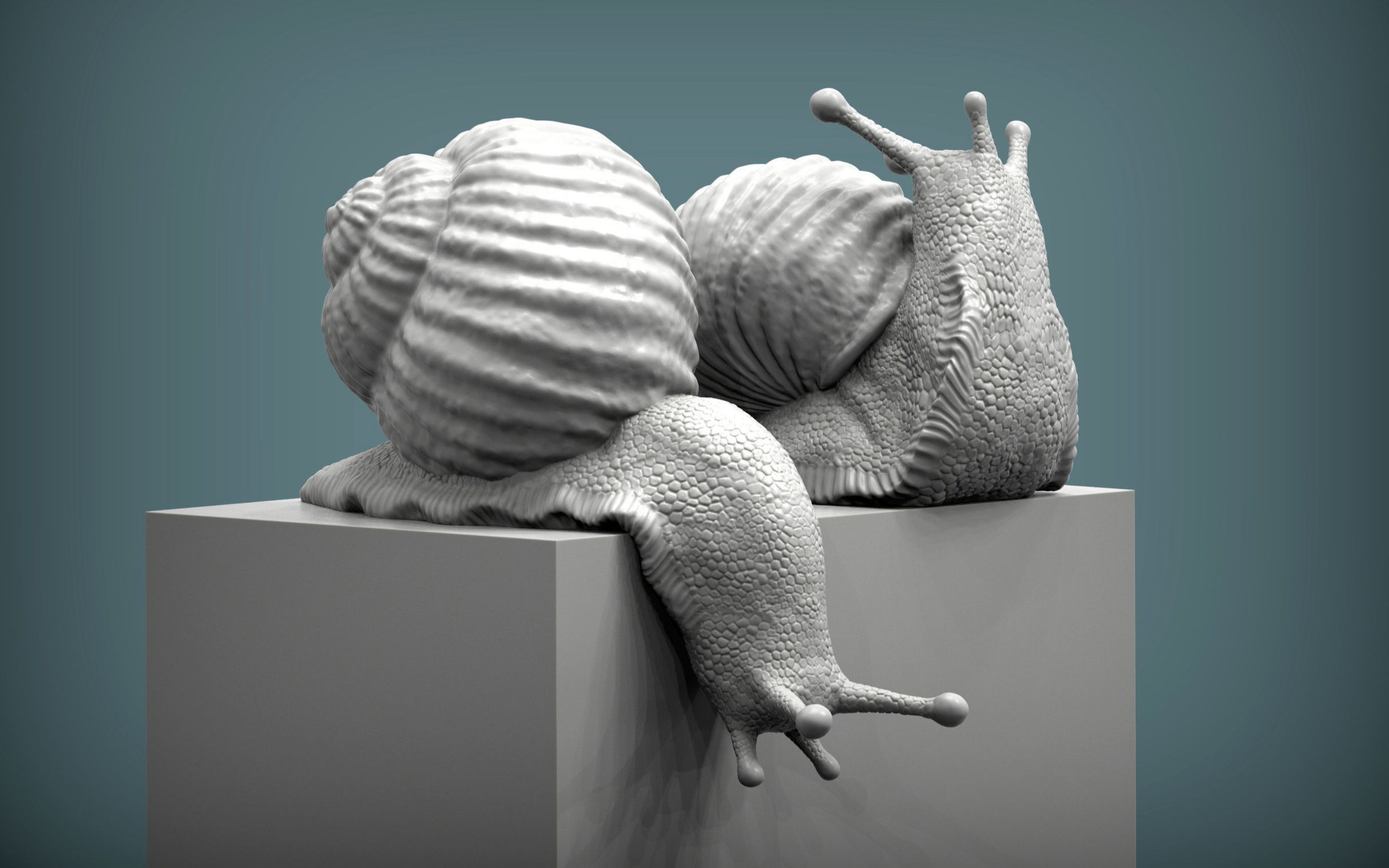 zbrush蜗牛动物雕刻参考资料,zbrush雕刻资料