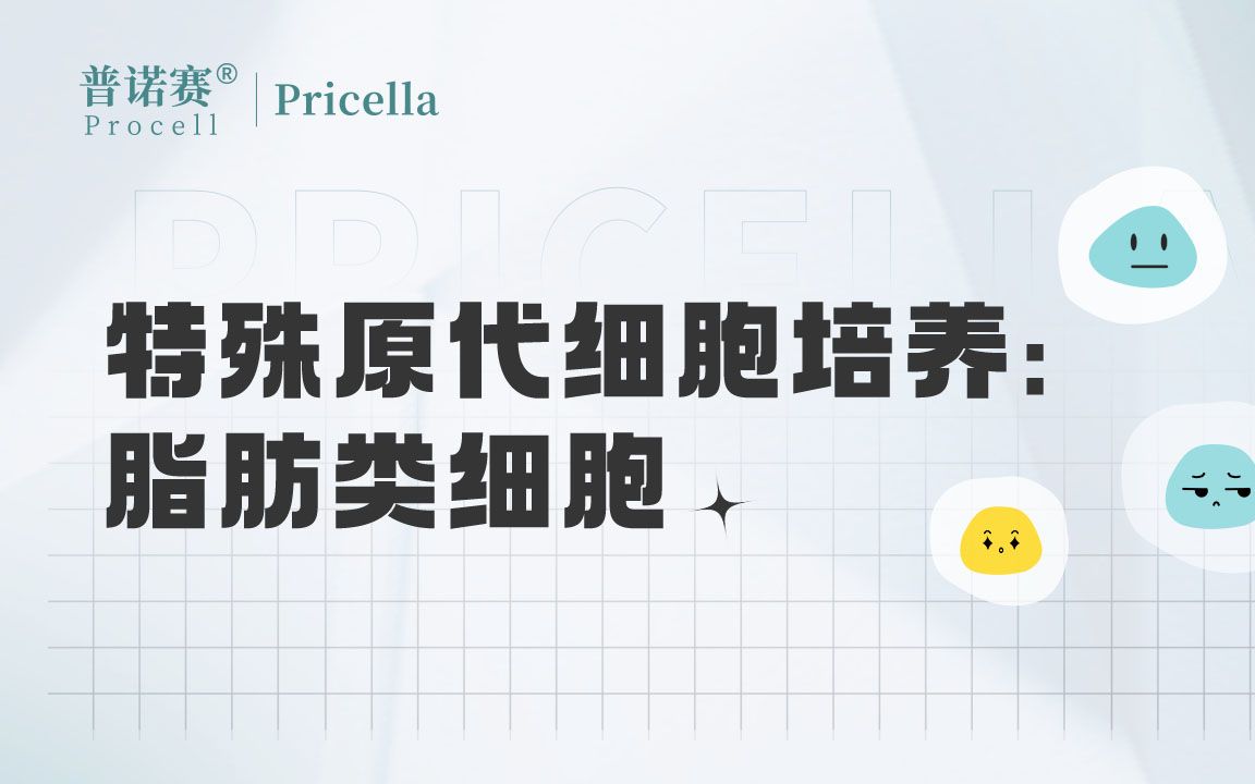 特殊原代细胞培养脂肪类细胞哔哩哔哩bilibili