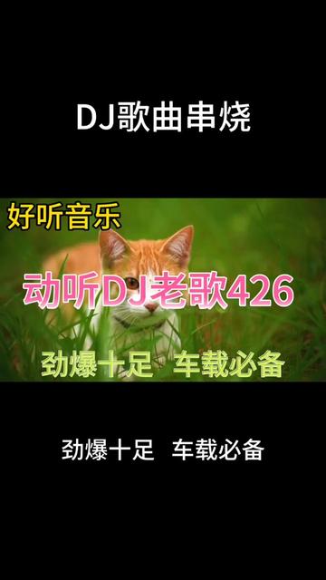 幾首非常好聽音樂串燒歌曲《動聽dj老歌426》勁爆十足,車載必備