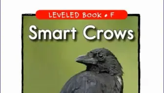 「不用词汇书背单词」Episode 636：Smart Crows