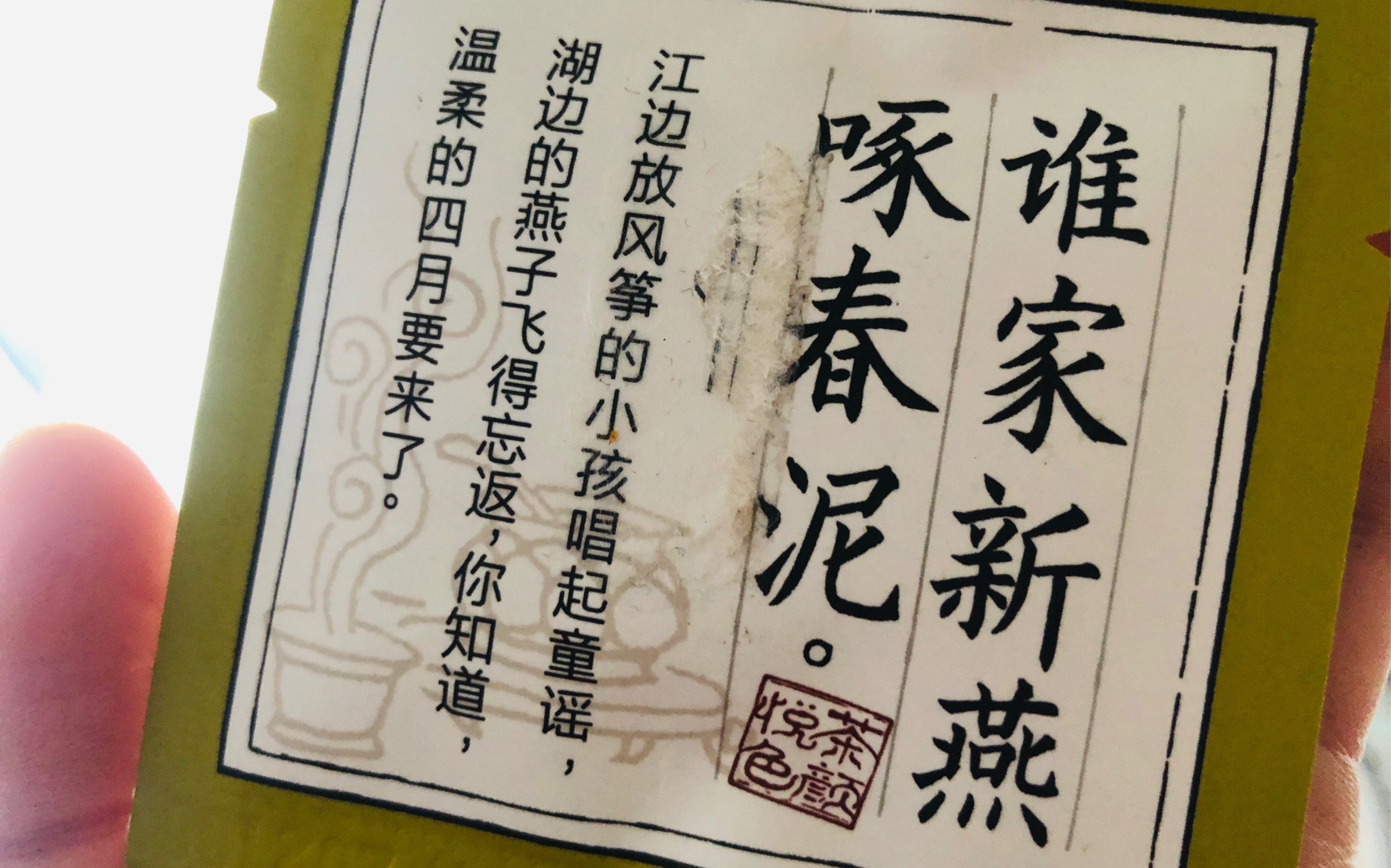 谁家新燕啄春泥/浅看一下燕子筑巢