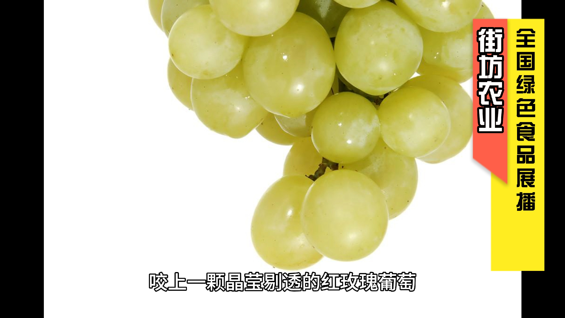 昭通市昭阳区成美葡萄专业合作社的成美红玫瑰葡萄是绿色食品