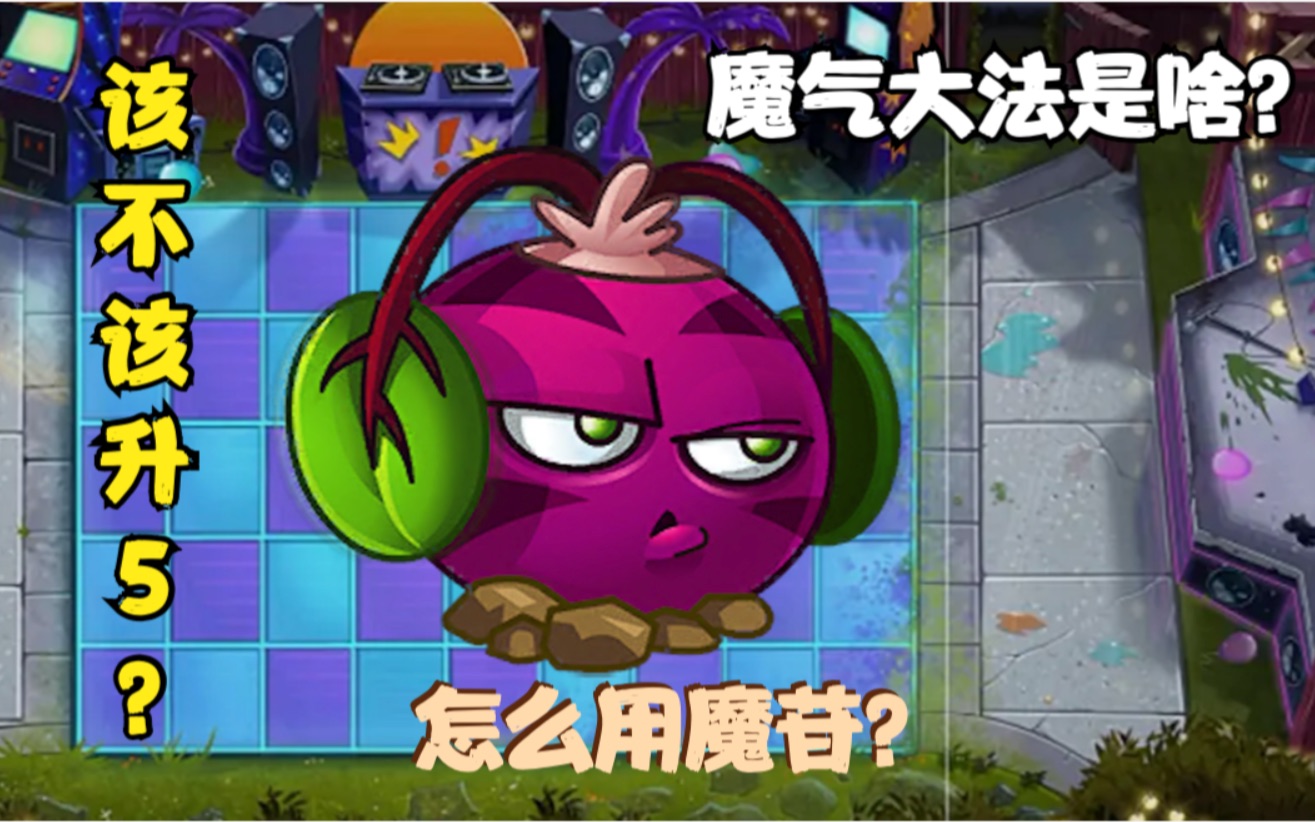 植物评测 魔音甜菜 二代封神的平民神器!