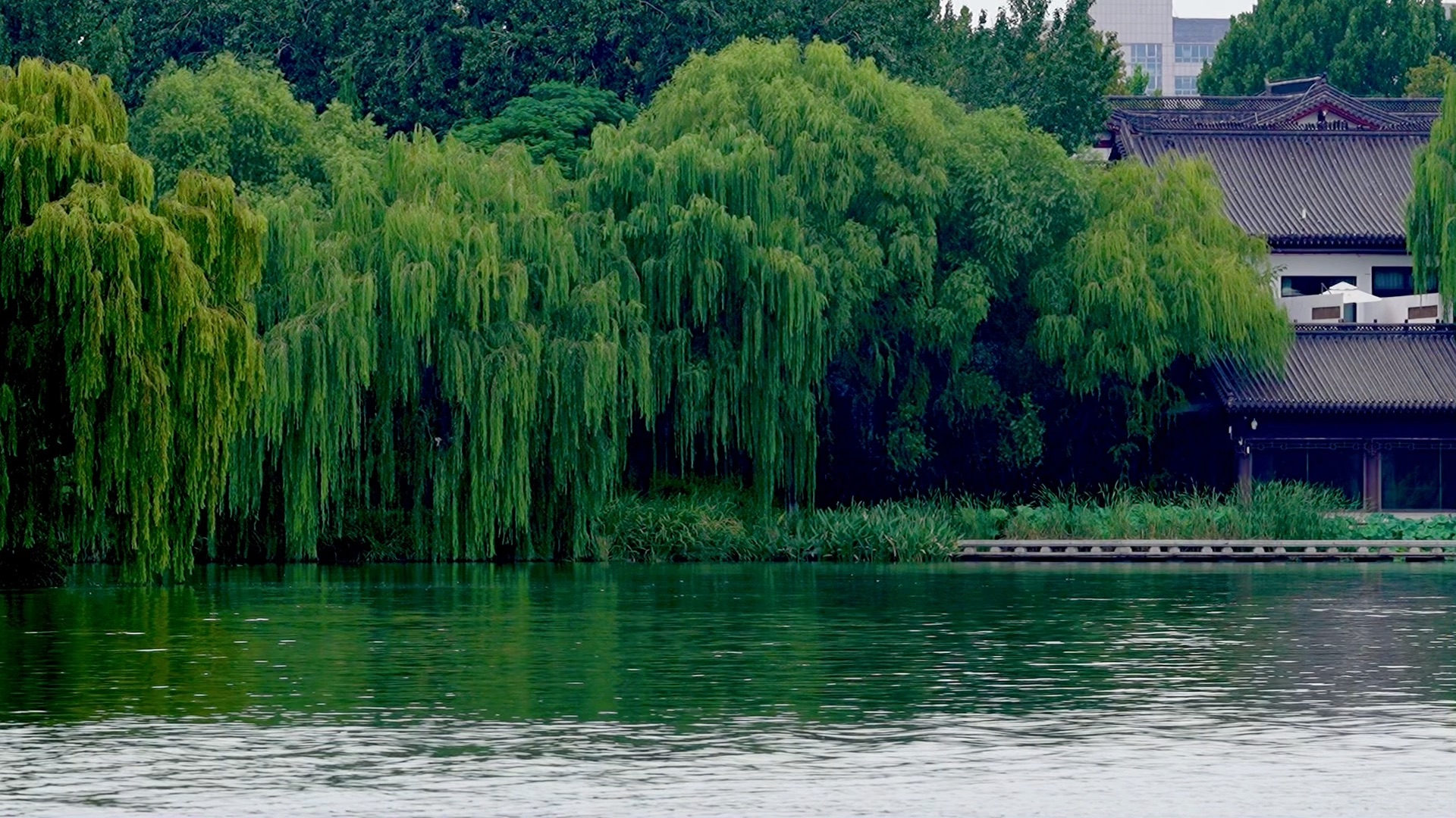 济南东湖水库图片