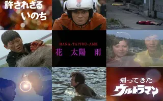 花 太阳 雨 搜索结果 哔哩哔哩弹幕视频网 つロ乾杯 Bilibili