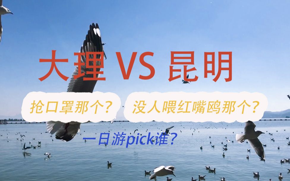 [图]洱海vs滇湖 云南一日游？惊险躲过疫情