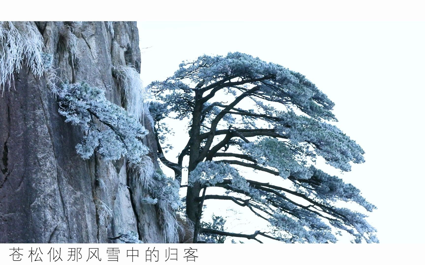 [图]【大雪】一年岁暮 至此雪盛