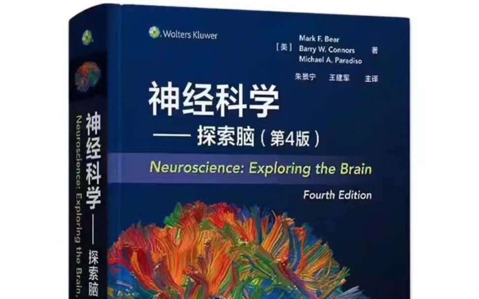 高清PDF 神经科学 探索脑(第4版)孙正元2023年哔哩哔哩bilibili