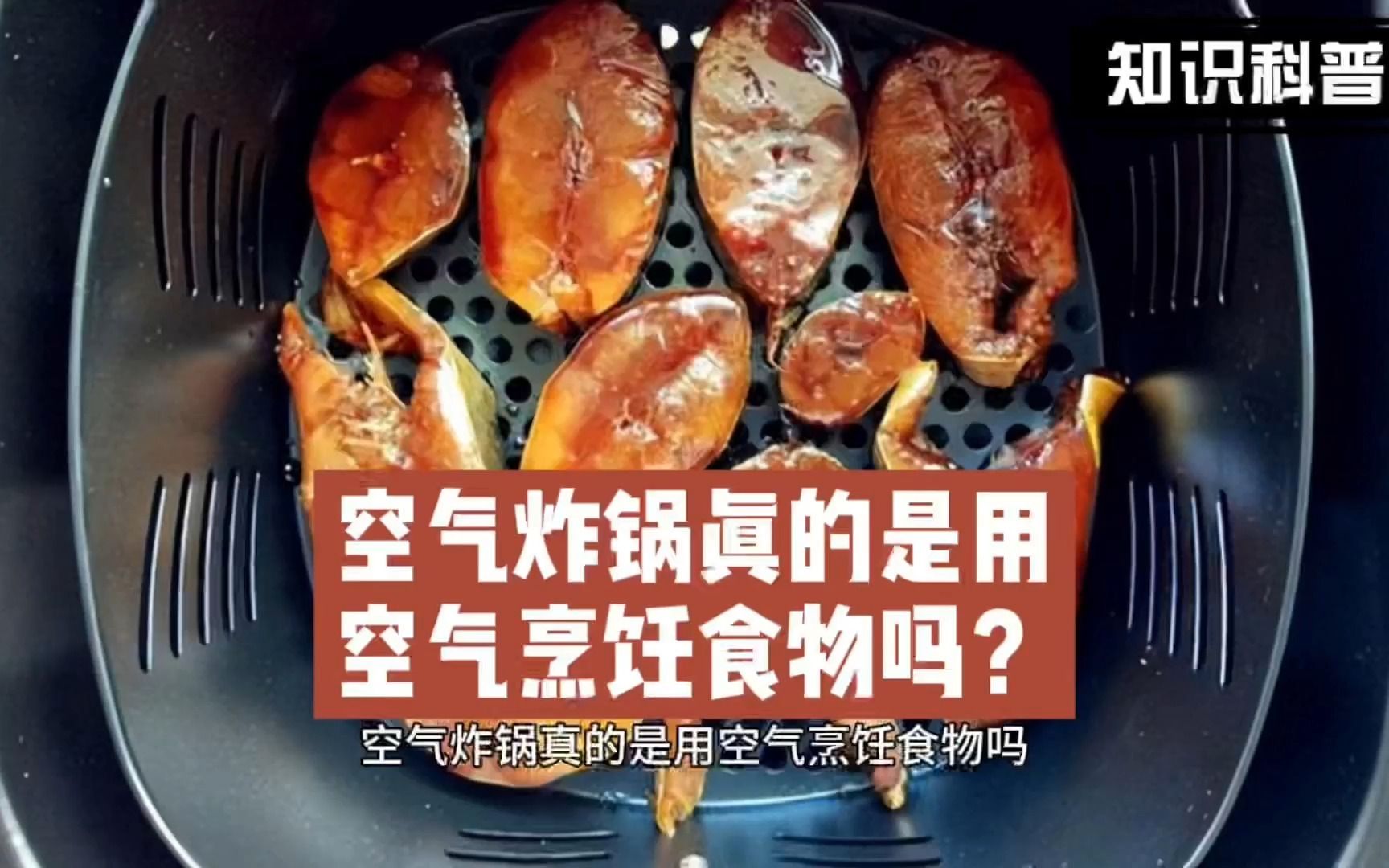 空气炸锅真的是用空气烹饪食物吗?哔哩哔哩bilibili