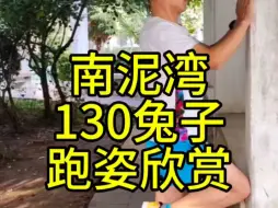 Video herunterladen: 南泥湾130兔子跑姿欣赏