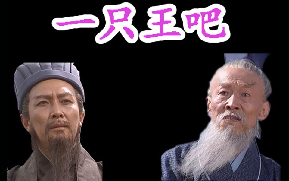 王司徒vs诸葛亮