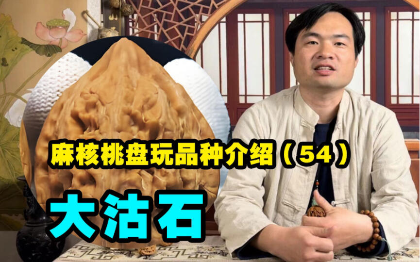 科普百种文玩核桃54大沽石，长得很像鸡心，玩起来怎么样_哔哩哔哩_bilibili