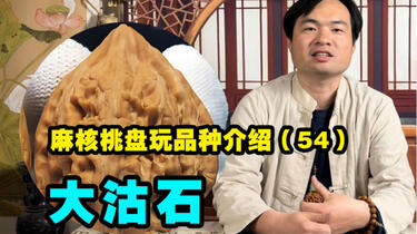 科普百种文玩核桃54大沽石，长得很像鸡心，玩起来怎么样_哔哩哔哩_bilibili