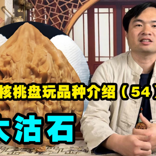 大沽石核桃 文玩（极品大沽石 核桃 文玩クルミ （日経ヘルス