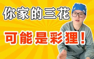 Download Video: 养了多年的三花被确诊为彩狸？