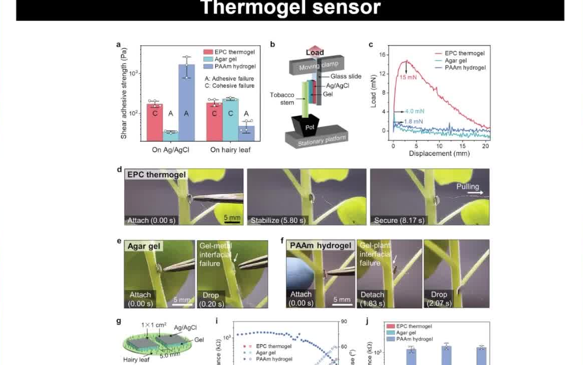 20220820材料研究与工程研究所Xian Jun LohThermogels for biomedical applications哔哩哔哩bilibili