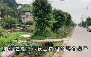 Download Video: 蔬菜基地的闲置房，租金每月200，这样的田园生活，您喜欢吗？