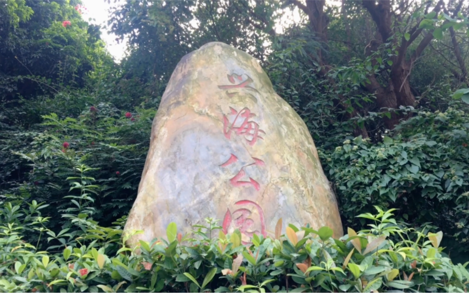 深圳南山兴海公园