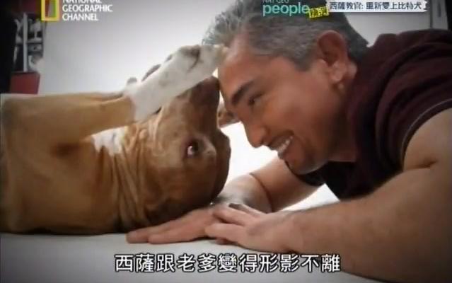 [图]中文字幕《狗语者- Dog Whisperer with Cesar Millan》重新爱上比特犬