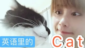 这些好色的英语俚语 哔哩哔哩 Bilibili