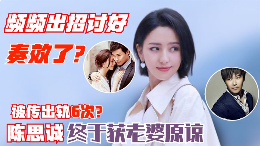 佟丽娅陈思诚再传婚变图片